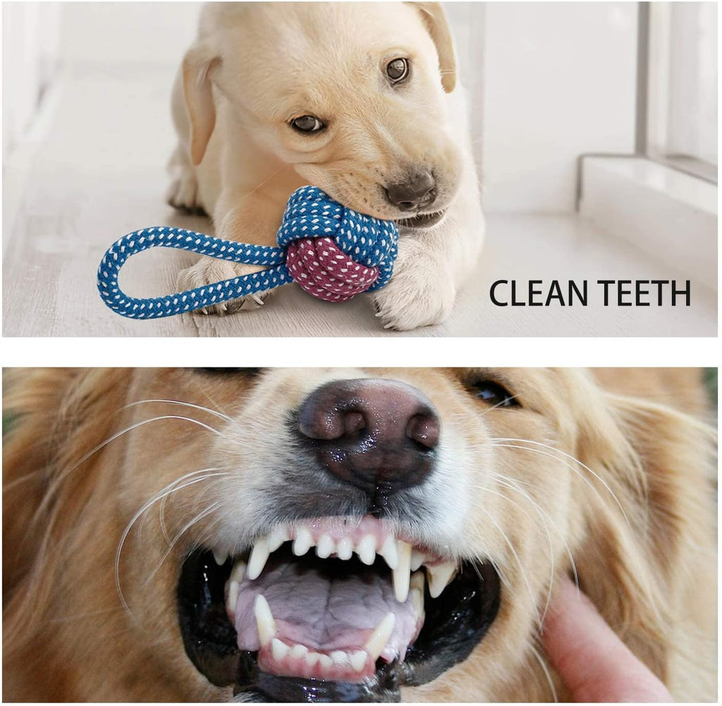 7-Piece Small Dog Toy Collection: Durable Chew Toys, Puppy Teething Ropes, and Squeaky Calf Toys - Non-Toxic and Safe