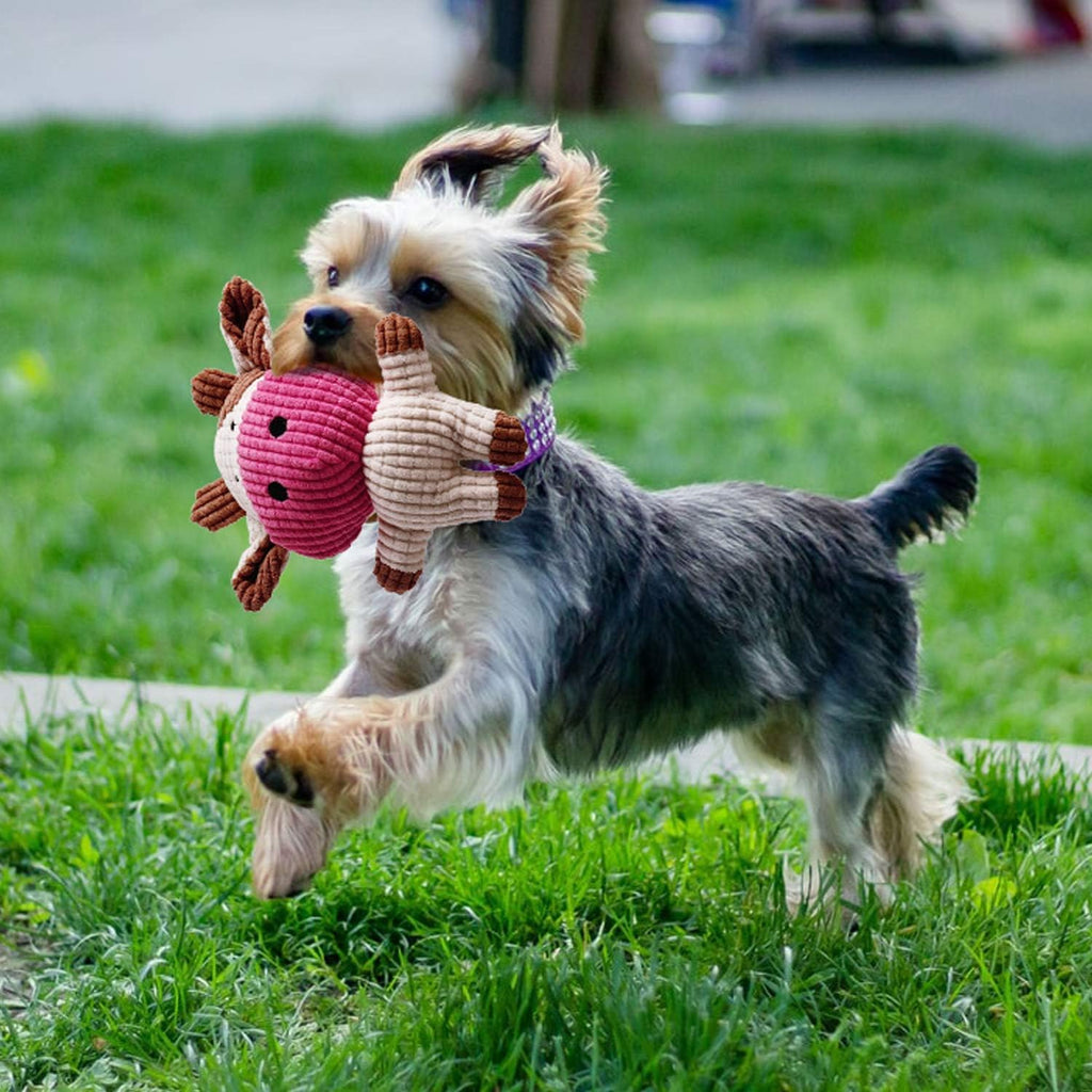 7-Piece Small Dog Toy Collection: Durable Chew Toys, Puppy Teething Ropes, and Squeaky Calf Toys - Non-Toxic and Safe